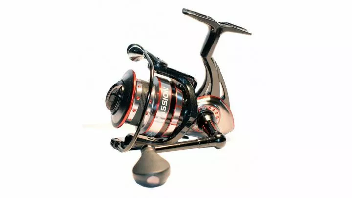 Elite Yolo Passion 4000 3 Elite Yolo Passion 4000