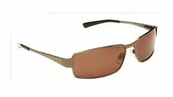 EyeLevel Accelerate Polarized