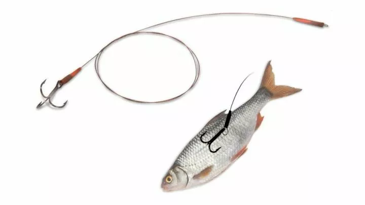 Quantum Mr. Pike Float Rig Leader #2 50cm 14kg 3 Quantum Mr. Pike Float Rig Leader #2 50cm 14kg