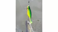 Rozemeijer Shallow Screw Stinger 18cm/size 2 2