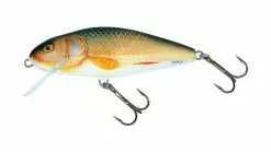 Salmo Perch 8cm Floating Real Roach