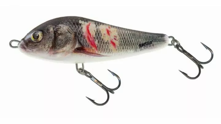 Salmo Rattlin' Slider 8cm Supernatural Wounded Dace 3 Salmo Rattlin' Slider 8cm Supernatural Wounded Dace