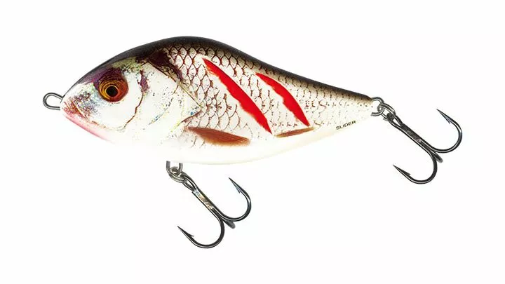 Salmo Slider 10cm Sinking Wounded Real Grey Shiner 3 Salmo Slider 10cm Sinking Wounded Real Grey Shiner