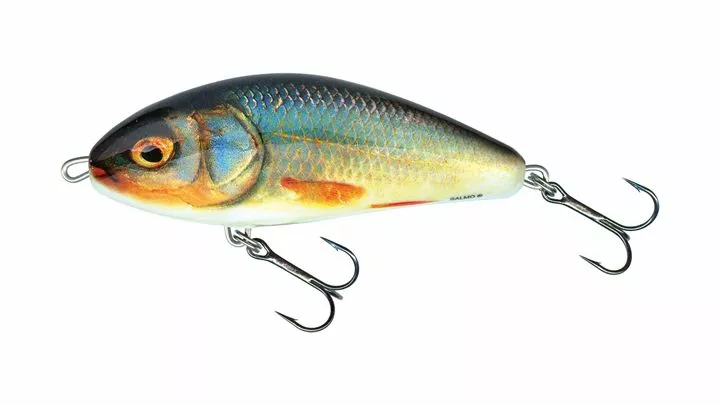 Salmo Fatso 10cm Sinking Real Roach 3 Salmo Fatso 10cm Sinking Real Roach