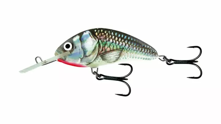 Salmo Hornet 9cm Floating Holographic Grey Shiner 3 Salmo Hornet 9cm Floating Holographic Grey Shiner